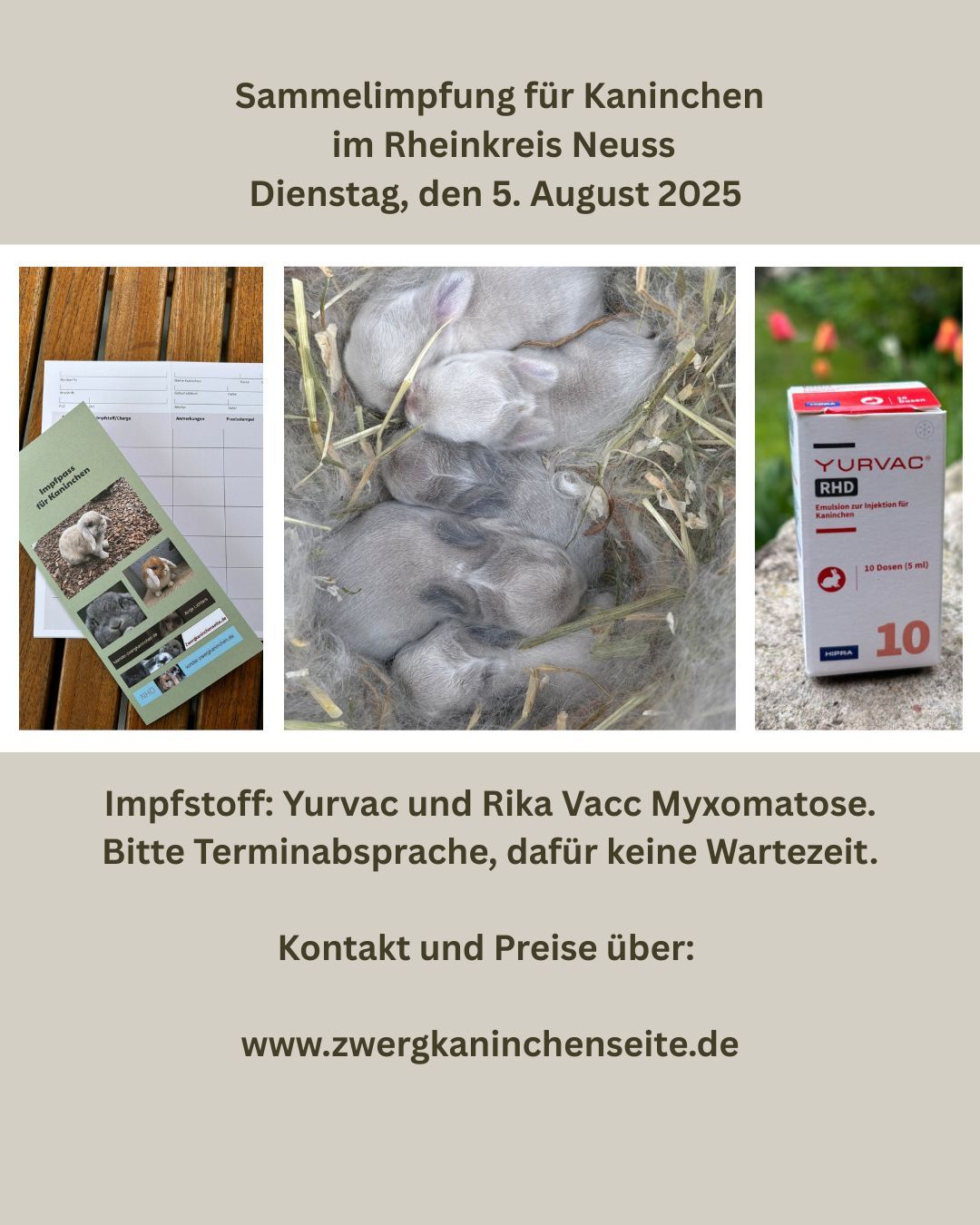 Beschreibung