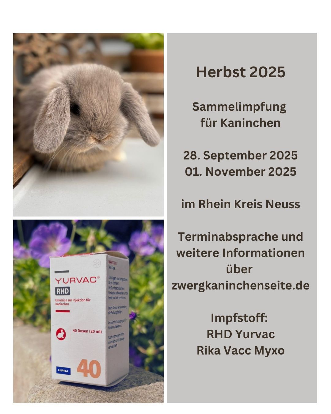 Beschreibung