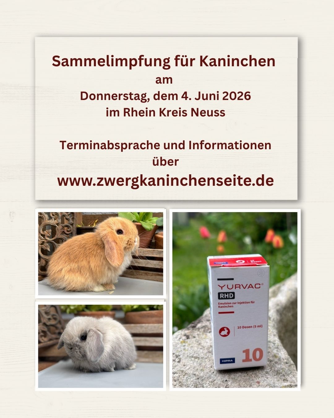 Beschreibung
