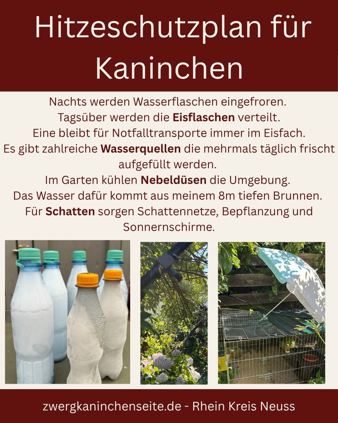Beschreibung