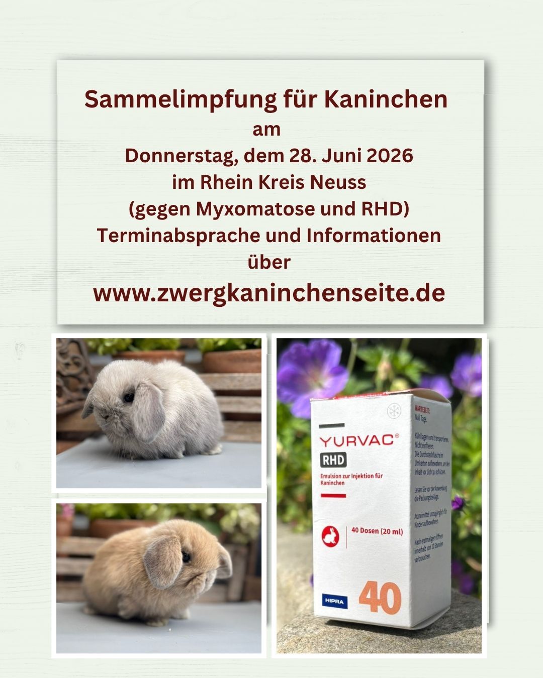 Beschreibung
