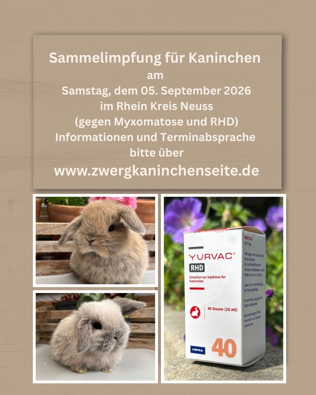 Beschreibung