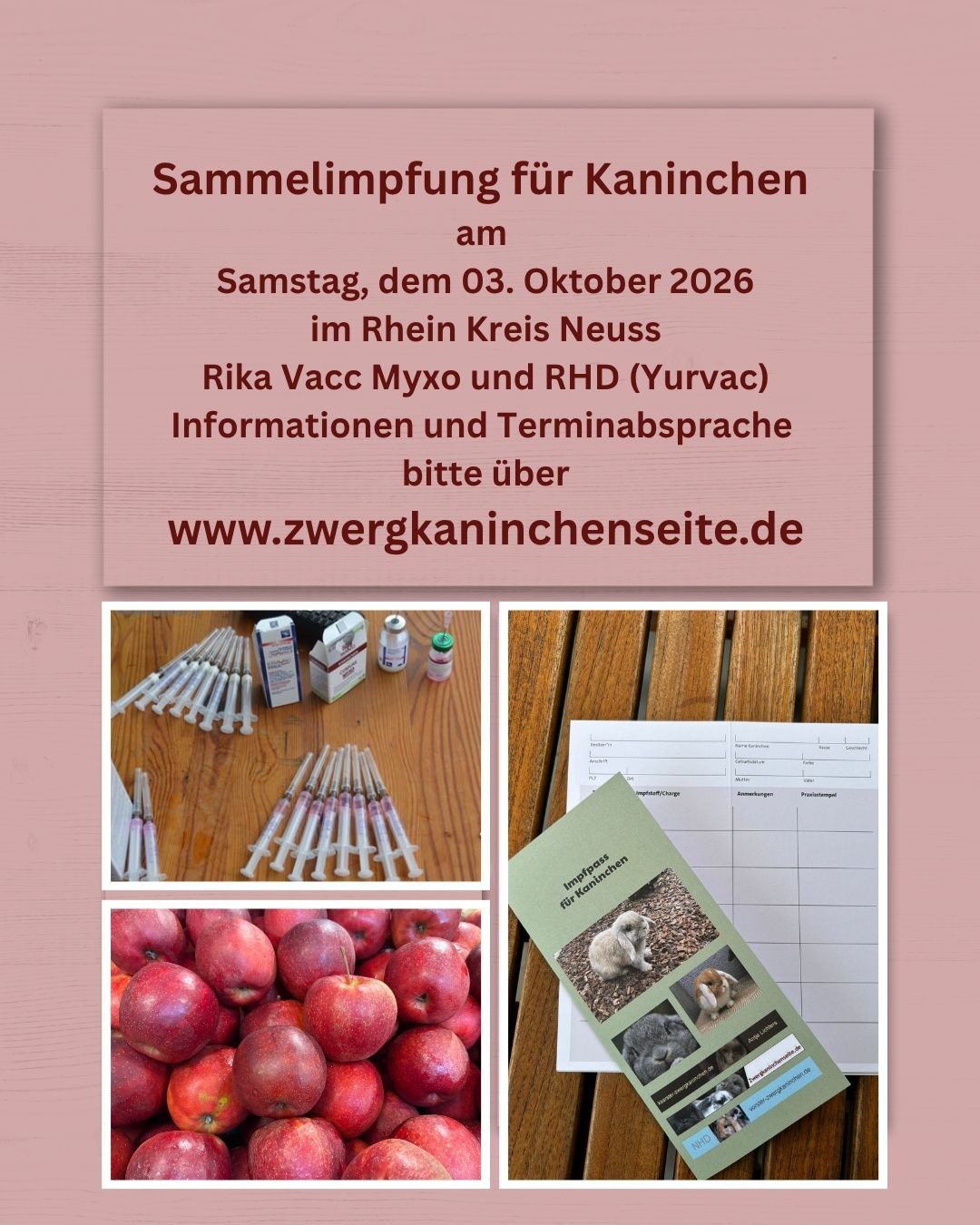 Beschreibung