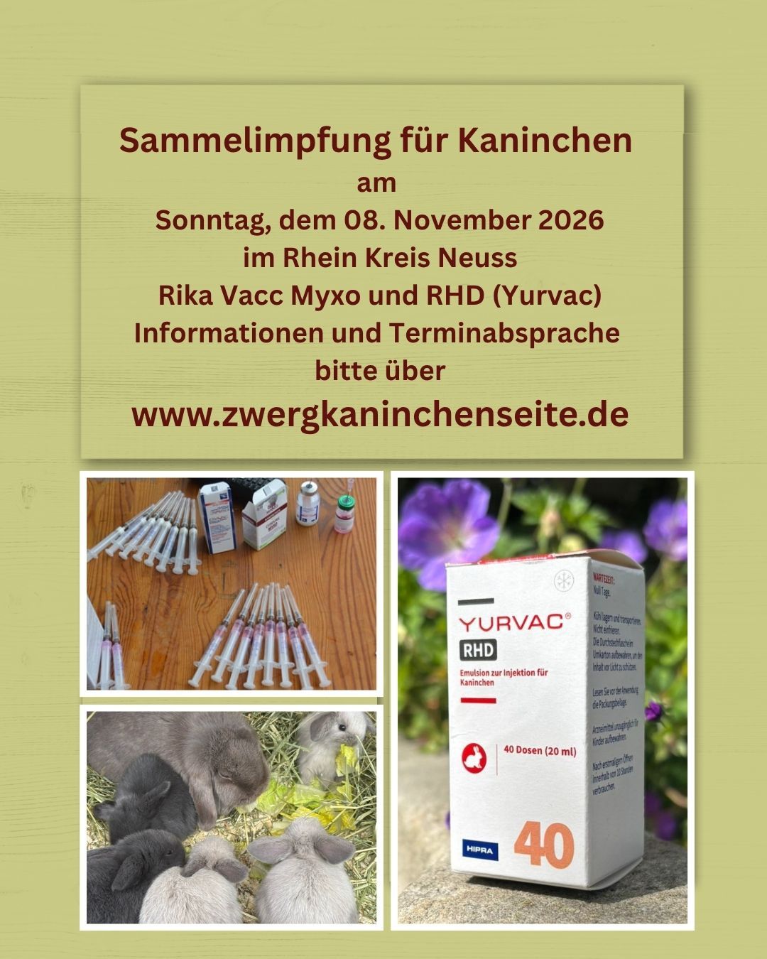 Beschreibung