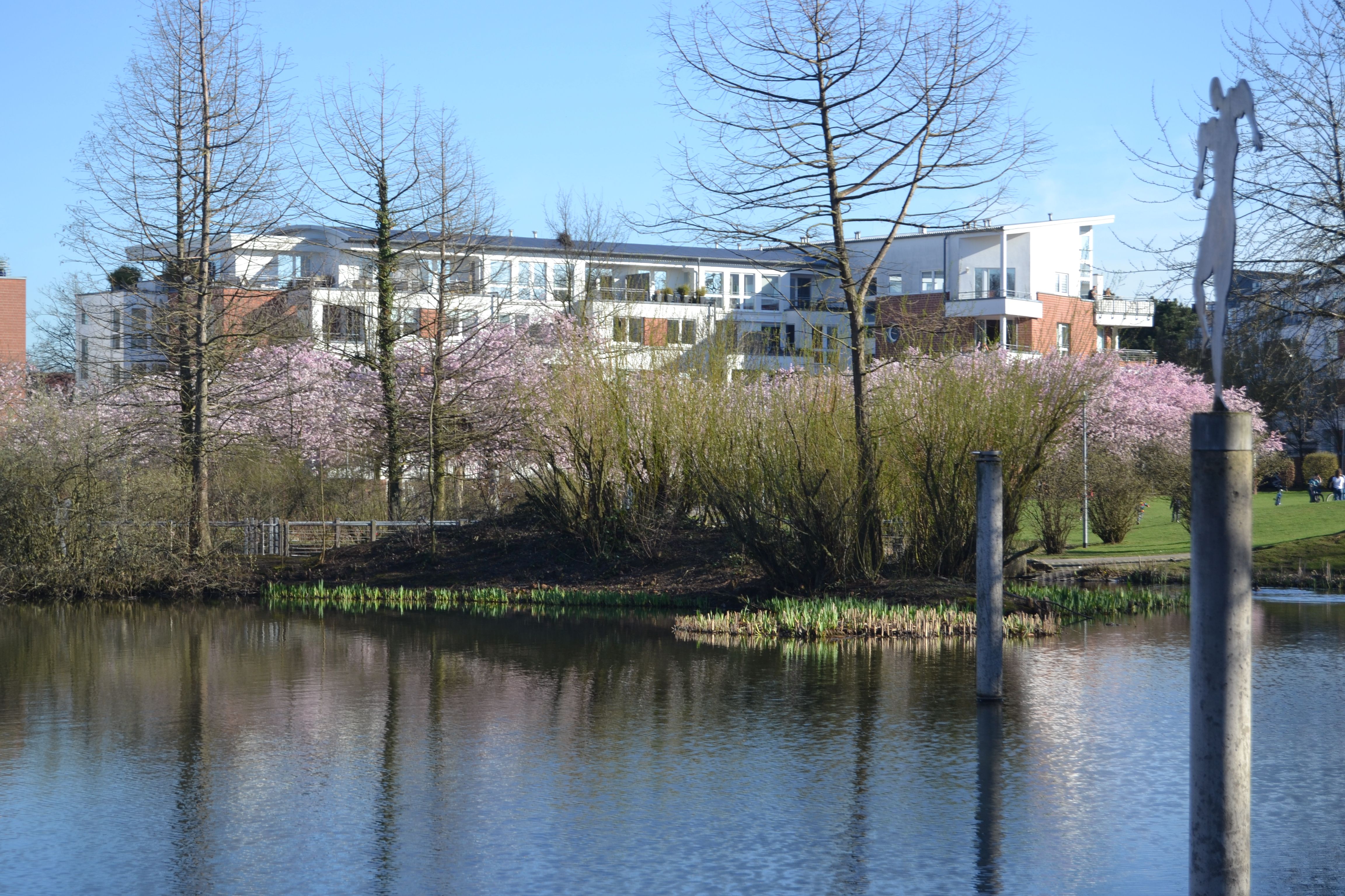 BeschreibKaarst Stadtmitte Stadtsee Sabine Kuehl Stadtpark Zwergkaninchen Jungtiere ung